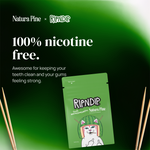 Sour Watermeowlon Flavored Toothpick Pouch